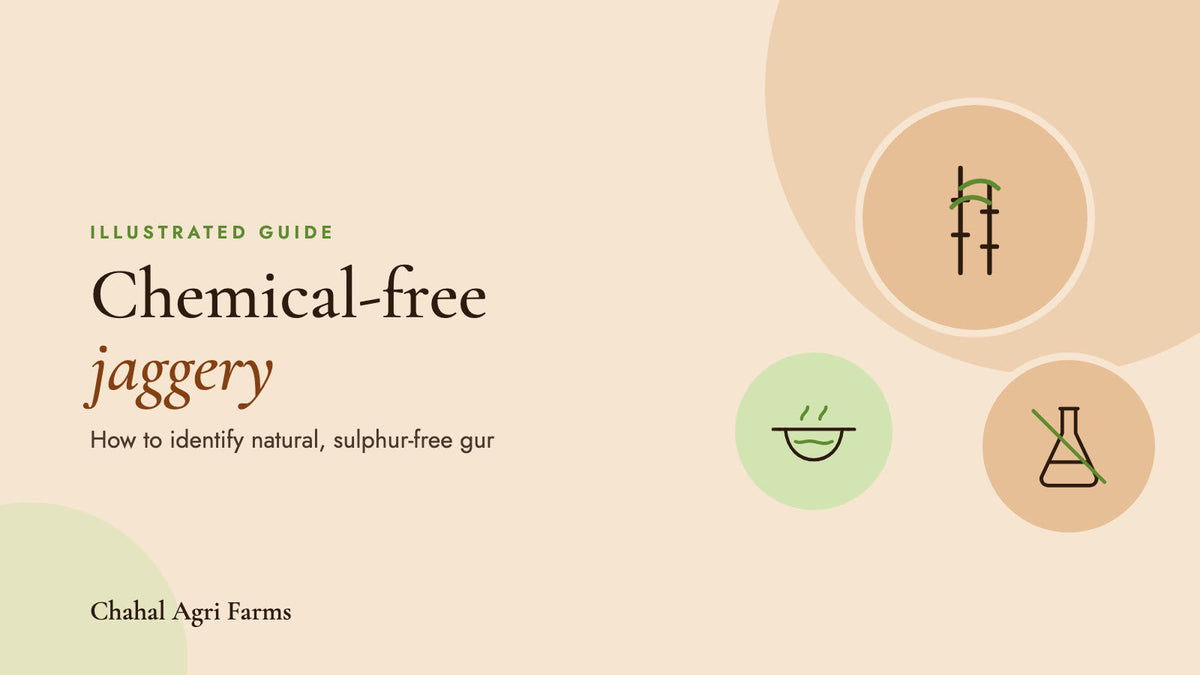 Chemical-free jaggery: how to identify natural gur