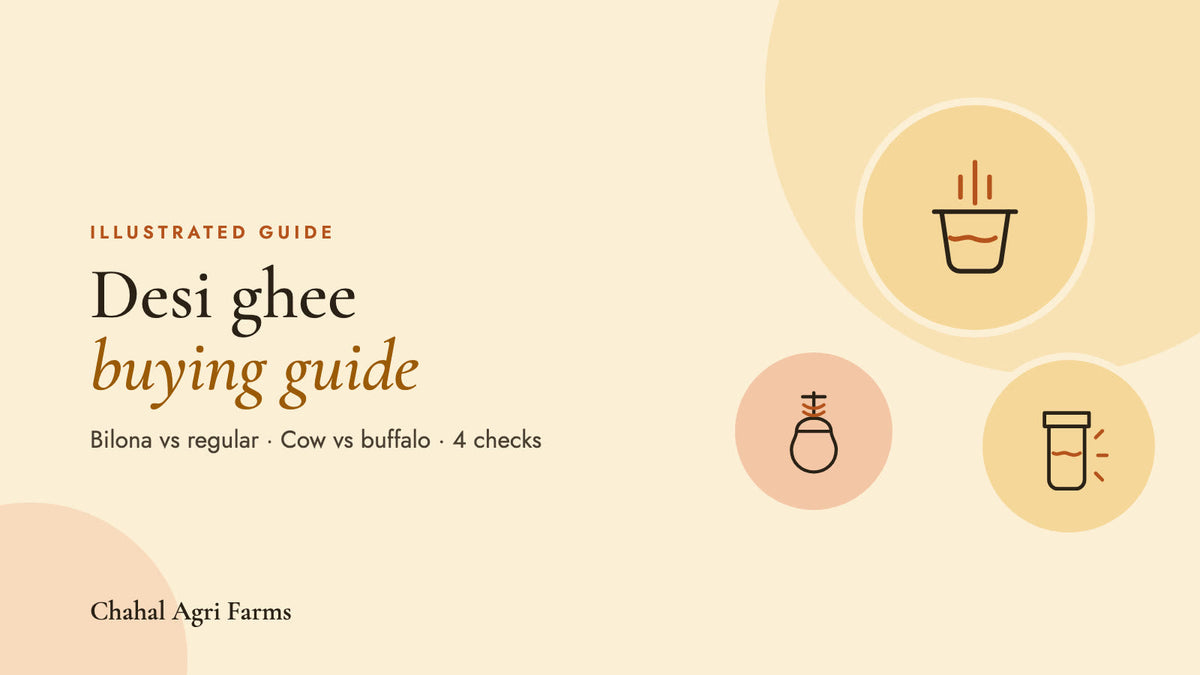 Desi ghee buying guide: bilona vs regular, cow vs buffalo